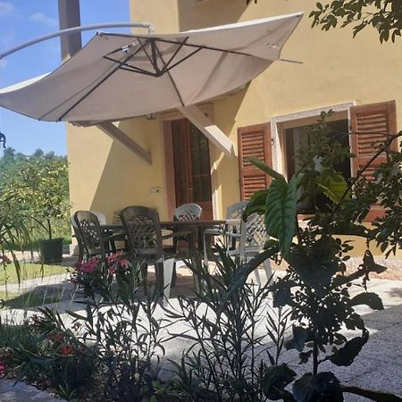 Ca’ La Volpe Villa Torri Del Benaco Esterno foto